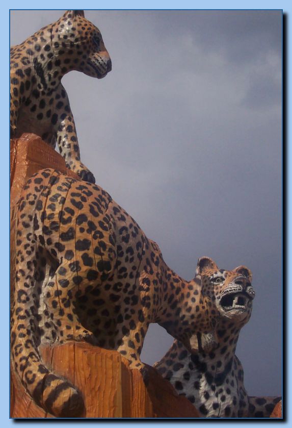 2-07 leopards-archive-0004